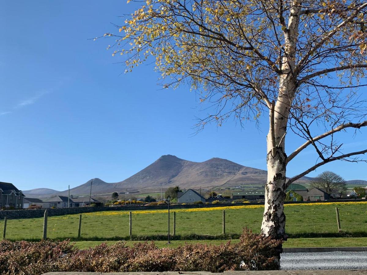 Lovely 2-Bed Cottage At The Foot Of The Mournes Newry Exterior foto