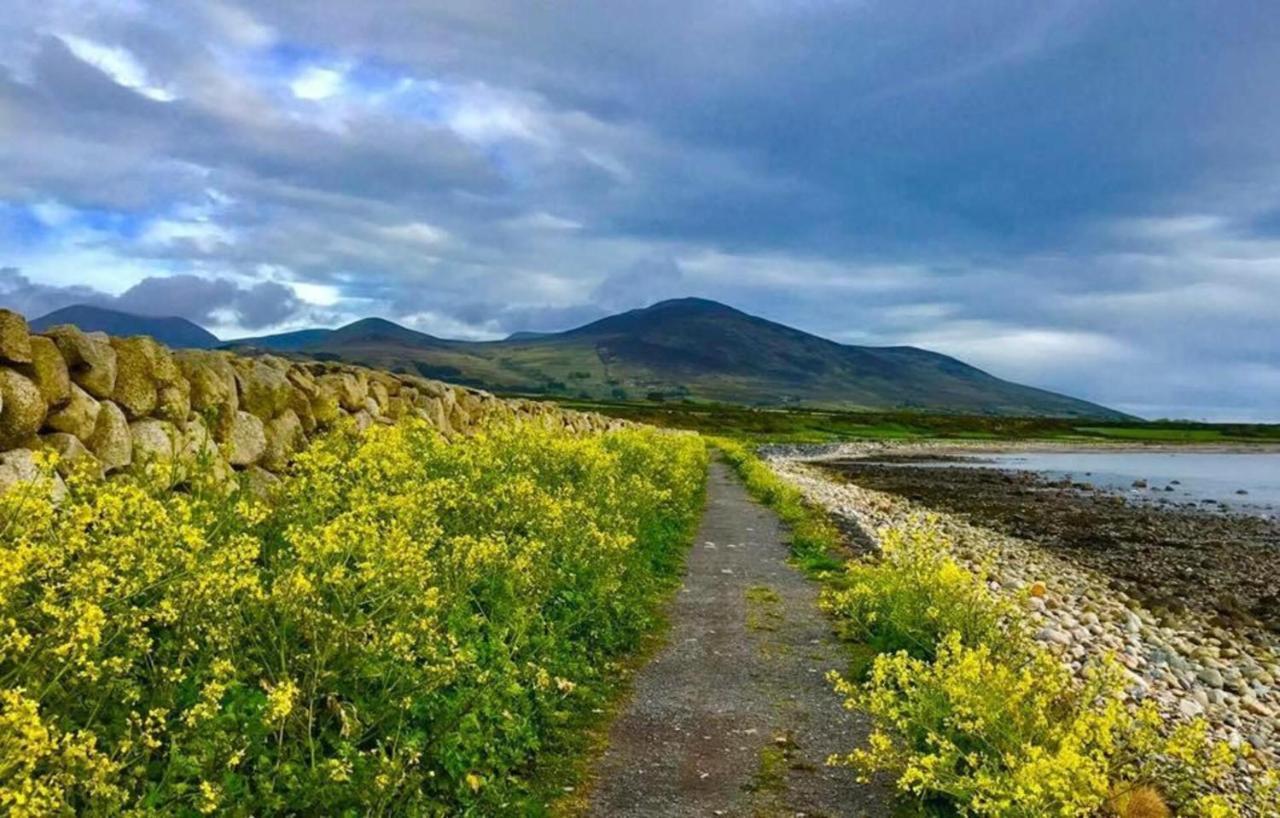 Lovely 2-Bed Cottage At The Foot Of The Mournes Newry Exterior foto
